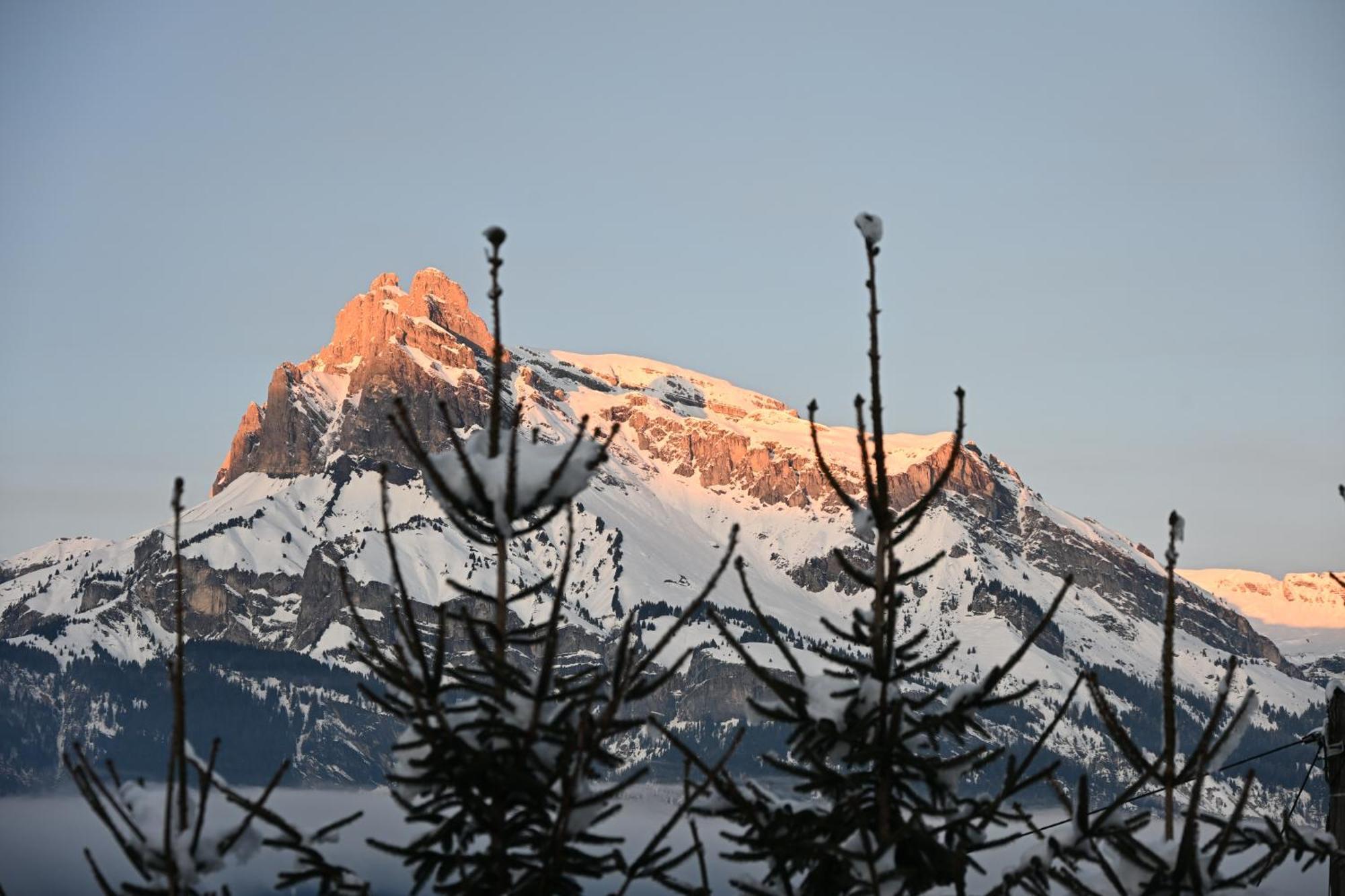 Chalet Montana Combloux Exterior photo